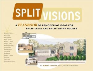 Split Visions cover